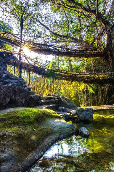 Meghalaya 2